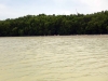 DSC00950