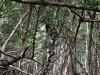 DSC00958