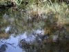 DSC00961