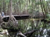 DSC00962