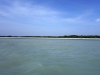 DSC00968