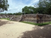 DSC00981