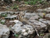 DSC01002