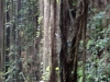 DSC01031
