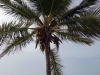 DSC01066