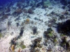 DSC01160