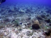 DSC01185