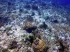 DSC01187