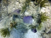 DSC01265