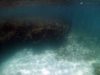 DSC01337