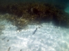 DSC01340