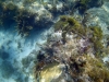 DSC01347