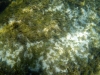 DSC01350