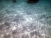 DSC01351