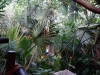DSC01386