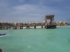 DSC01439
