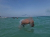 DSC01448
