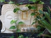 DSC01492