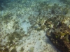 DSC01519