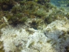 DSC01531