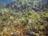 DSC01534