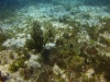 DSC01536