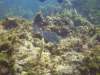 DSC01547