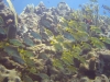 DSC01548