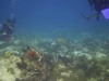 DSC01549