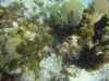 DSC01555