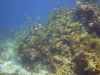 DSC01556