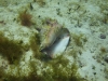 DSC01560
