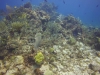 DSC01564
