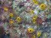 DSC01568