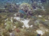 DSC01571