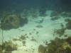 DSC01581