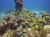 DSC01589