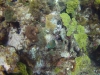 DSC01591