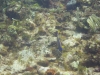 DSC01602