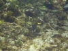 DSC01603