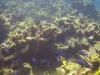 DSC01604