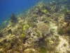 DSC01605