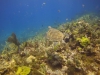 DSC01606