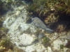 DSC01609