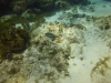 DSC01620