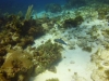DSC01624