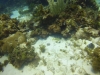 DSC01625
