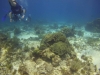DSC01627