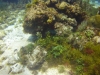 DSC01635