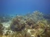 DSC01636